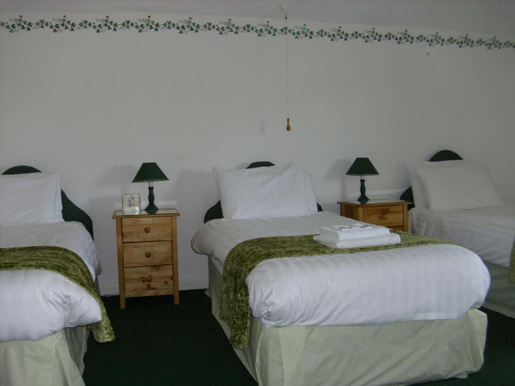 Ty Llew Hotel Llandysilio ห้อง รูปภาพ
