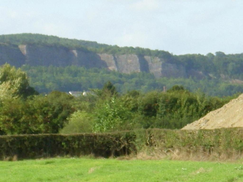 Ty Llew Hotel Llandysilio ห้อง รูปภาพ